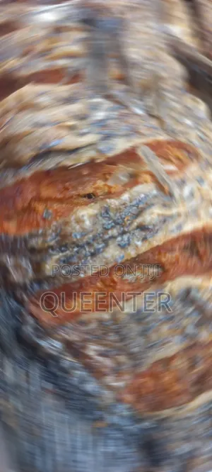 Fresh Fried Fish