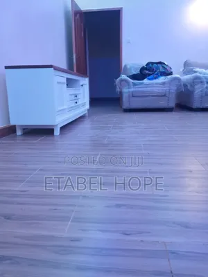 Professional House and Sofa Deep Cleaning