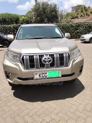 Toyota Land Cruiser Prado 2009 Silver