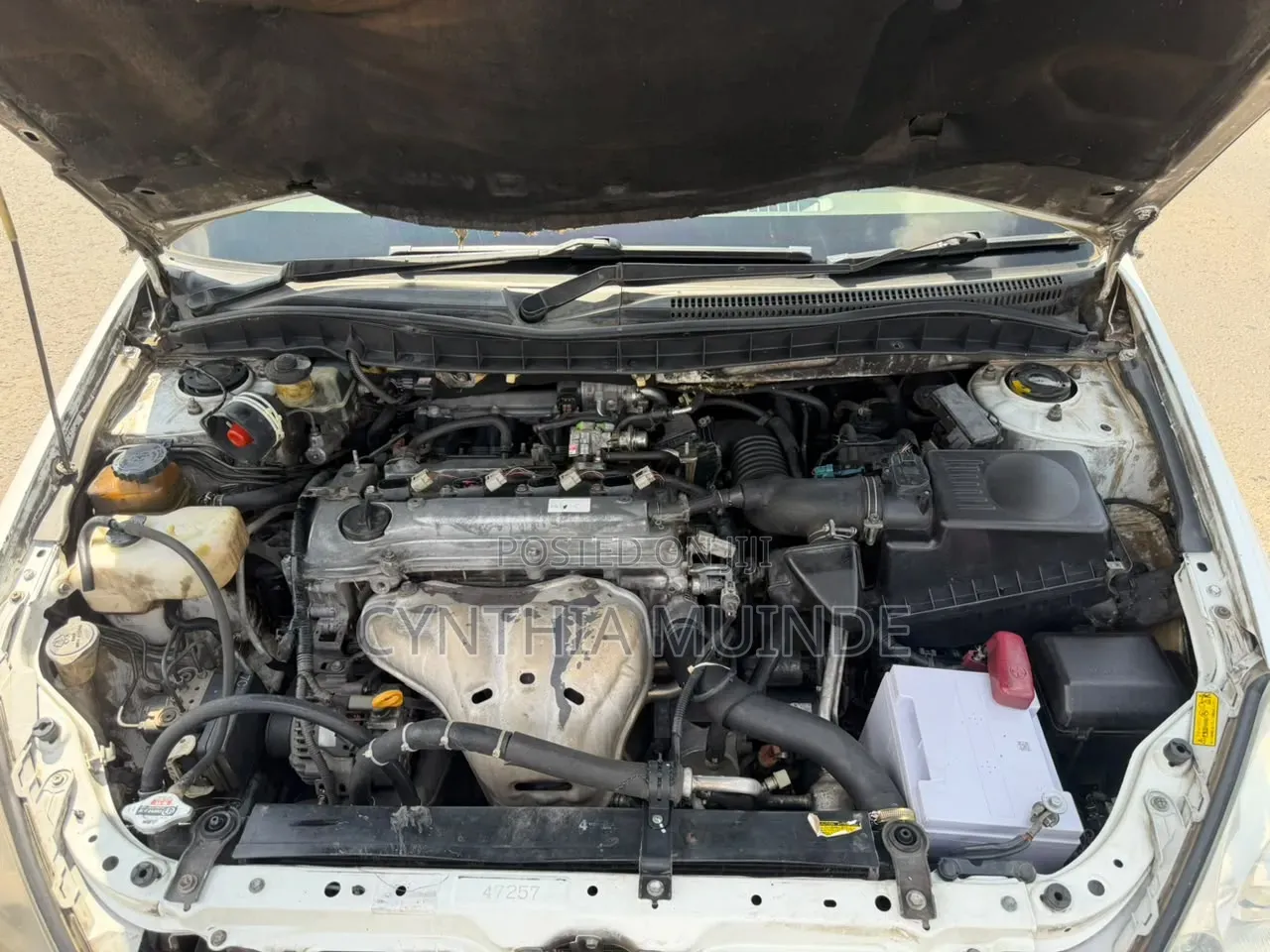 Toyota Allion 2005 White