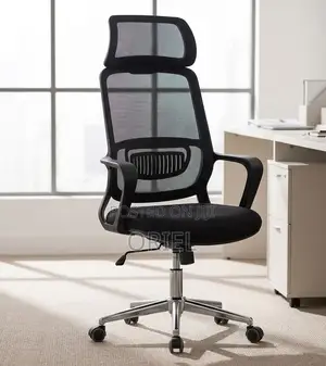 Ergonomic Office Chairs for Managers and Professional Workspaces