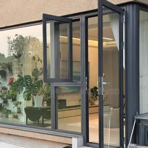 Aluminum Doors and Windows