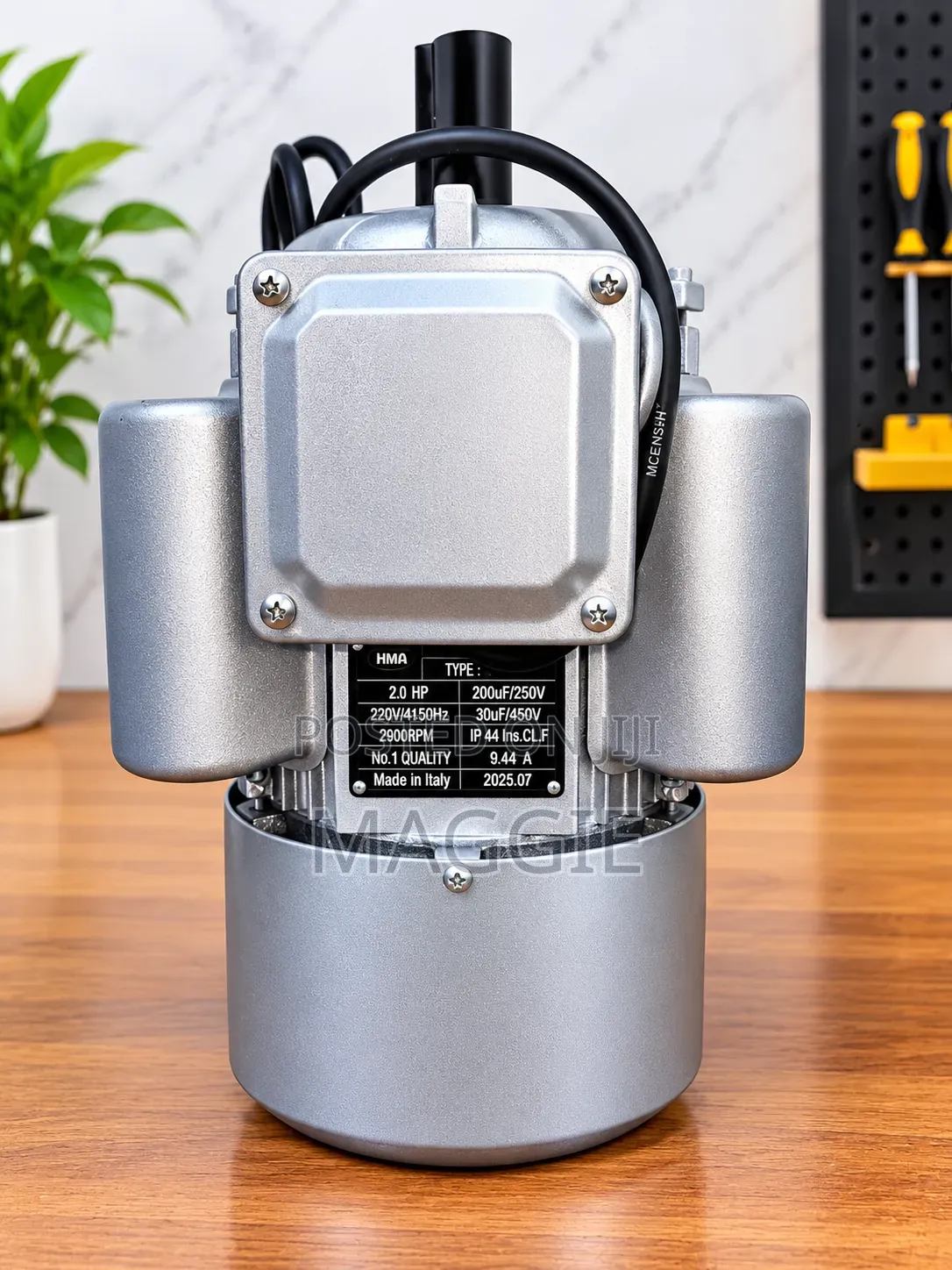 2 HP High Speed Motor
