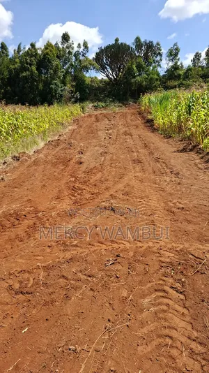 Nguirubi /Thigio
