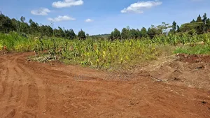 Nguirubi /Thigio