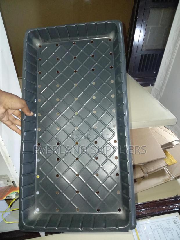 Multi-Hole Hydroponic Growing Trays - main view