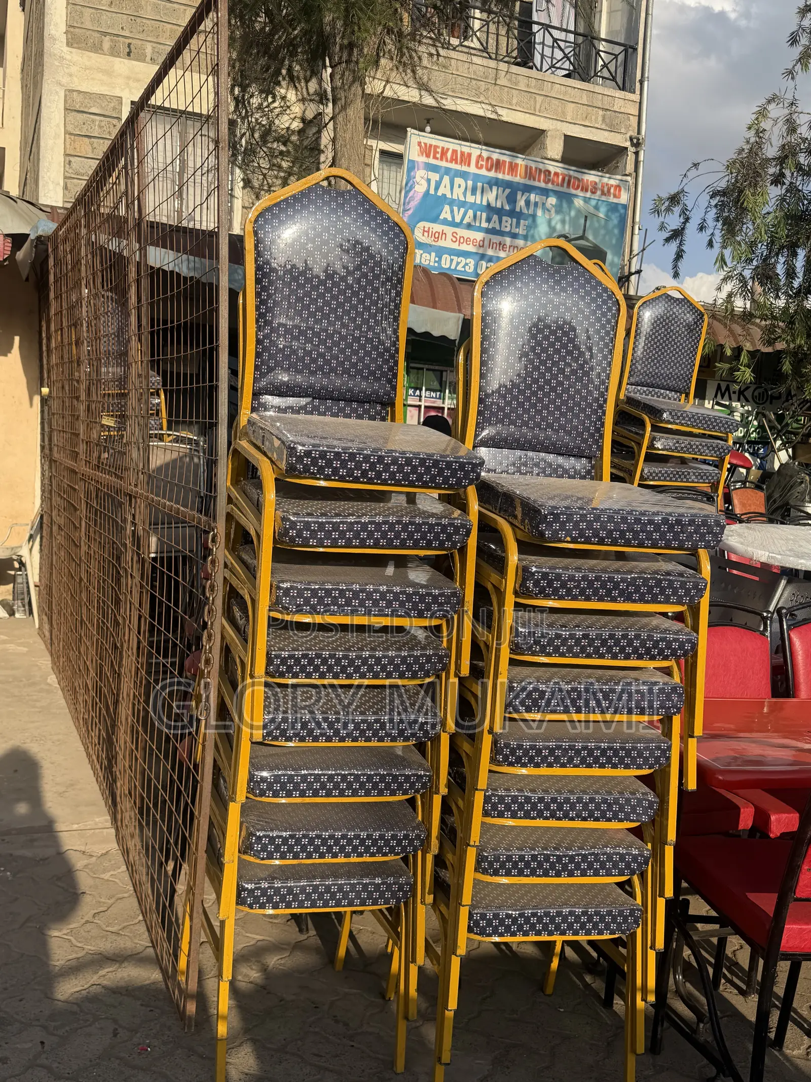 Blue Polythene Conference Chairs Gold Coated