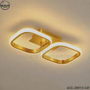 Modern 2 Ring Led Ceiling Lights