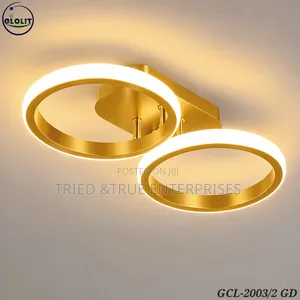 Modern 2 Ring Led Ceiling Lights