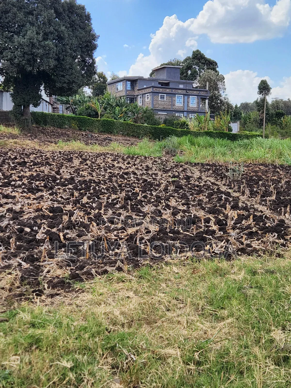 1⁄4Acre Plot Ngong-Olkeri (Olkeri-Karen Rd)