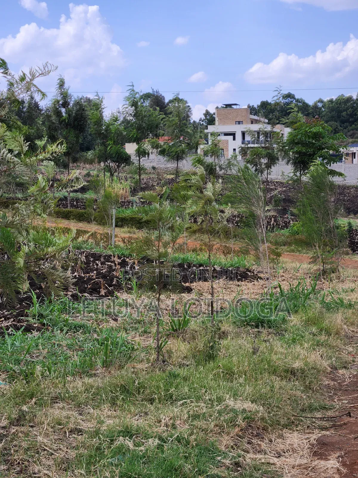 1⁄4Acre Plot Ngong-Olkeri (Olkeri-Karen Rd)