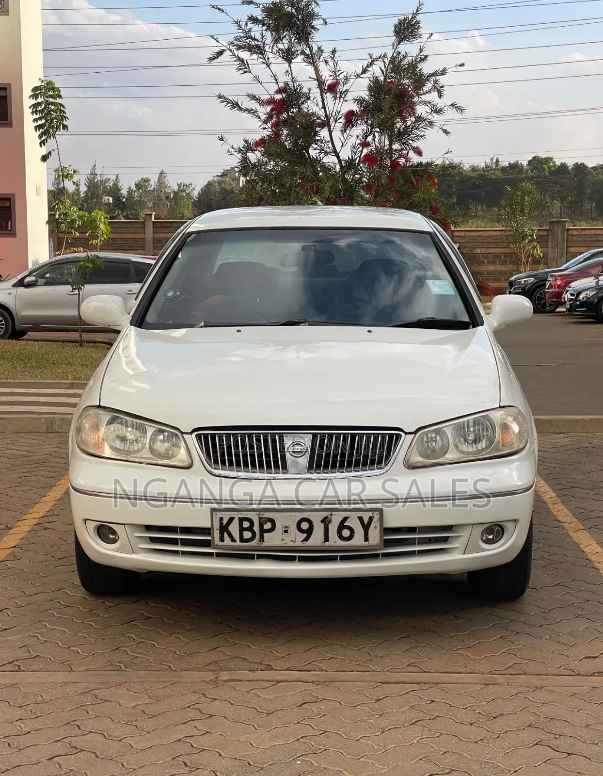 Nissan Bluebird 2005 White