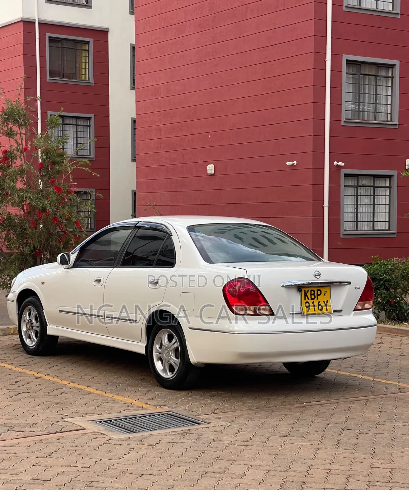 Nissan Bluebird 2005 White