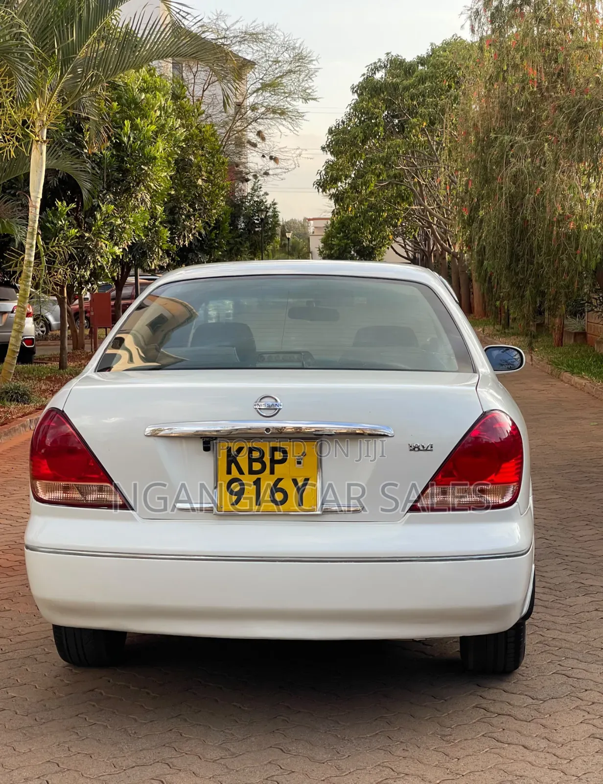 Nissan Bluebird 2005 White