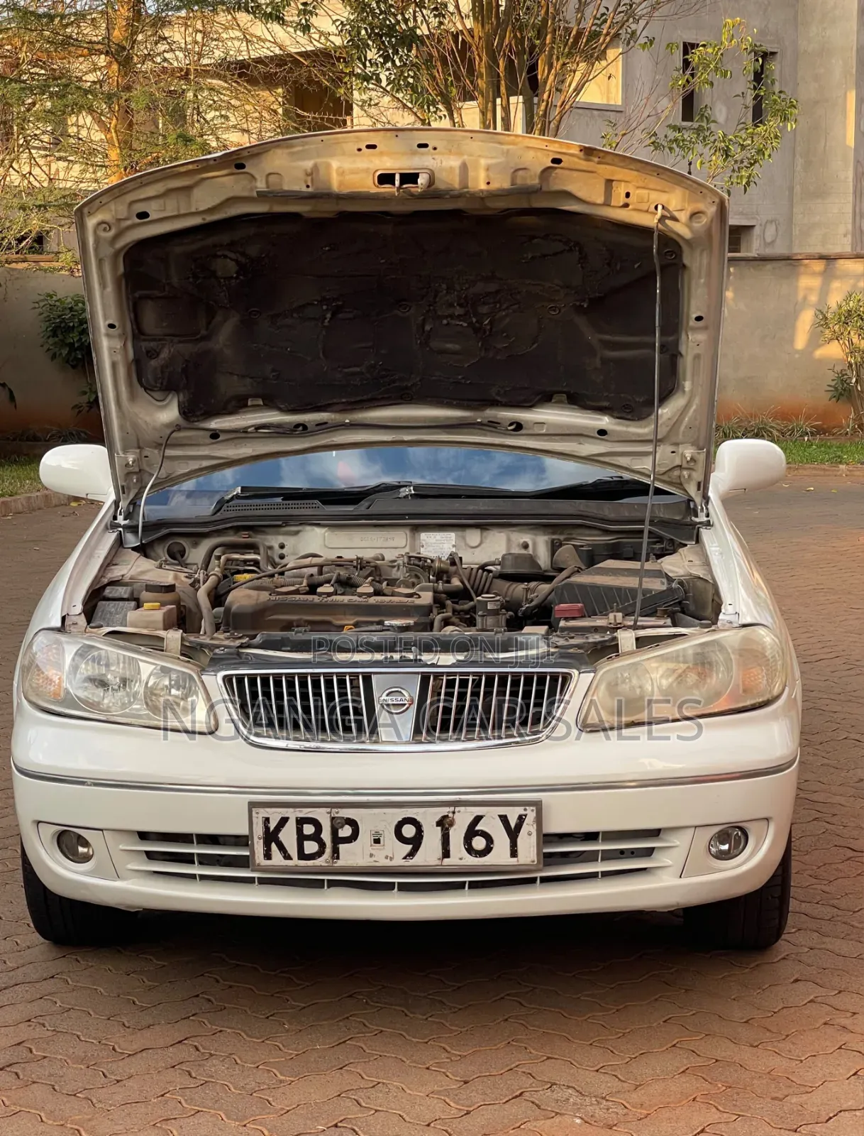 Nissan Bluebird 2005 White