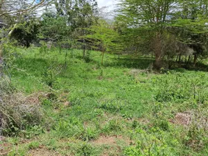 Plot for Sell