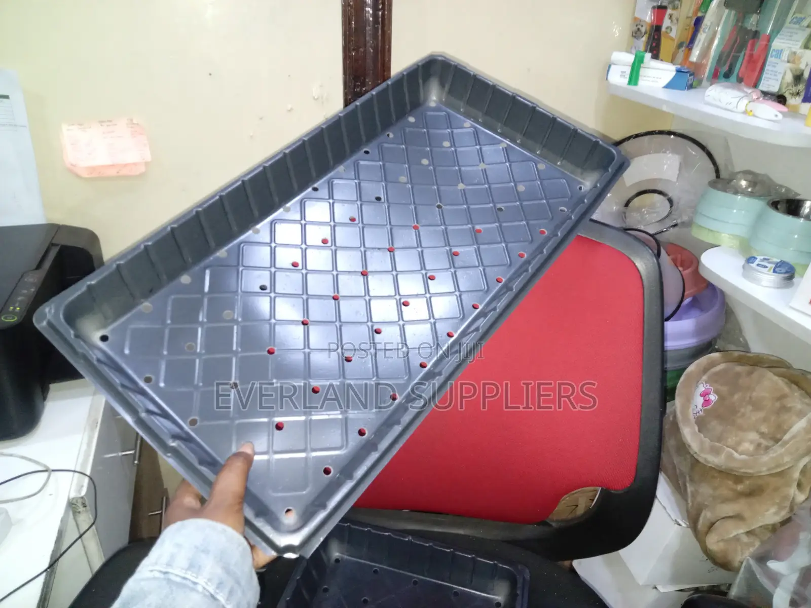 Practical Perforated Growing Trays - With Holes