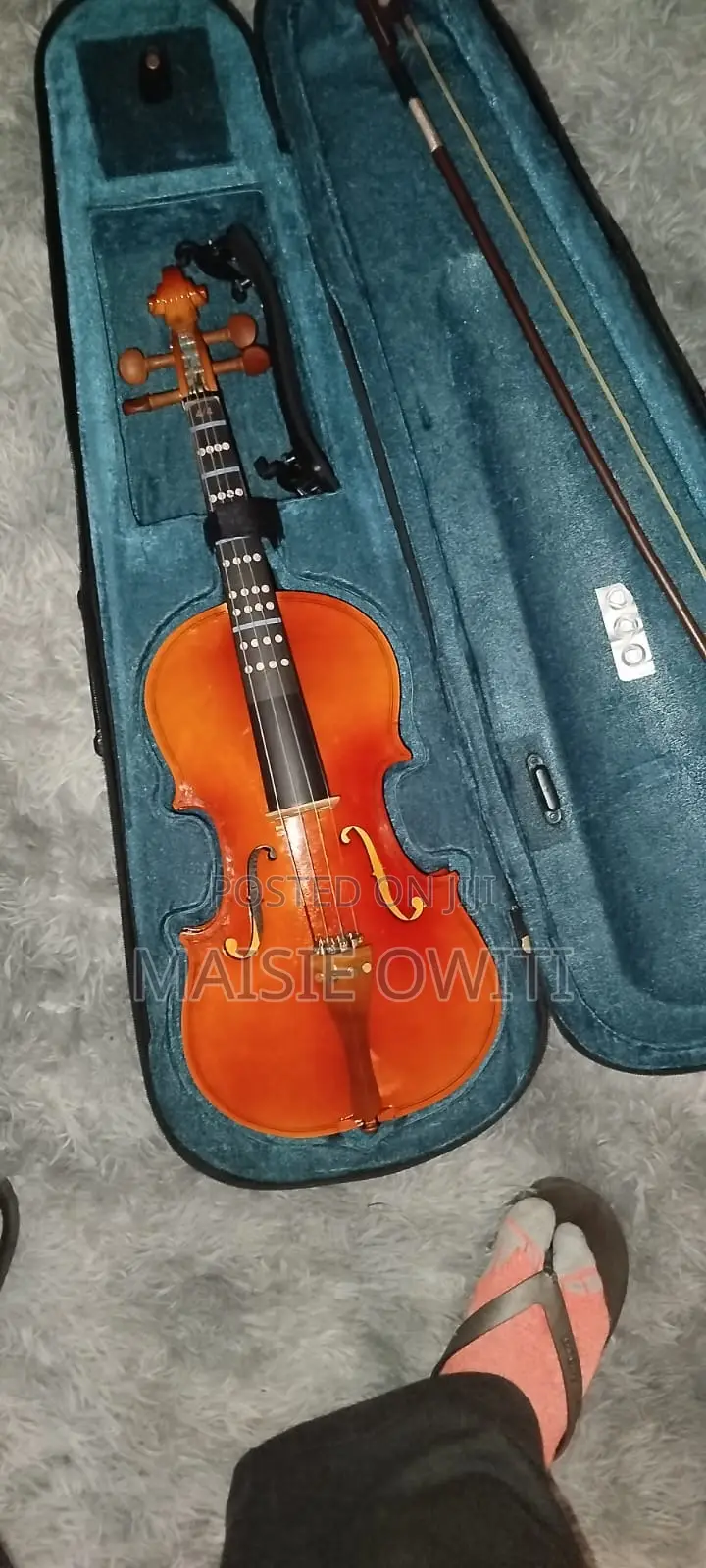 Violin Instrument