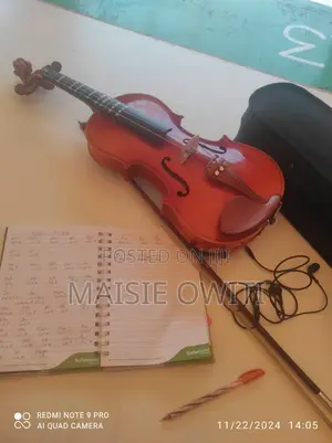 Violin Instrument
