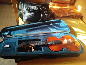 Violin Instrument