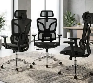 Ergonomic Office Chair With Lumbar Support for Daily Comfort