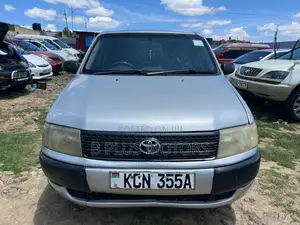 Toyota Probox 2010 Silver