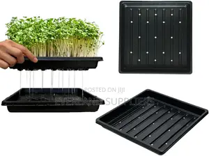 Hydroponic Trays With Round Holes