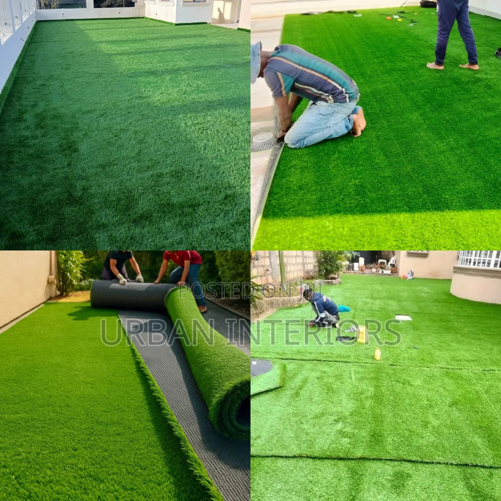Turf Grass Turf Grass Turf Grass for Excellent Finushes
