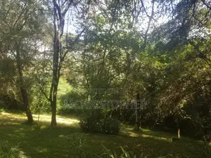 Amazing 3 Acre Land in Karen