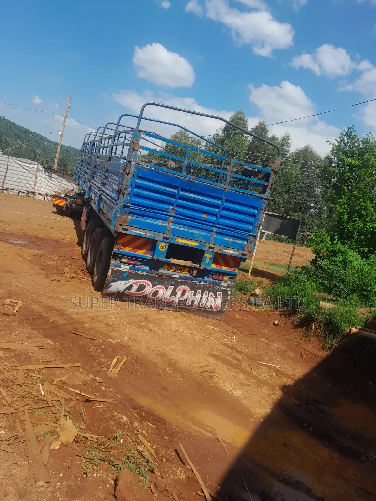 Live Animals transportation.Goats.Cows.Sheep.sawdustfloor.