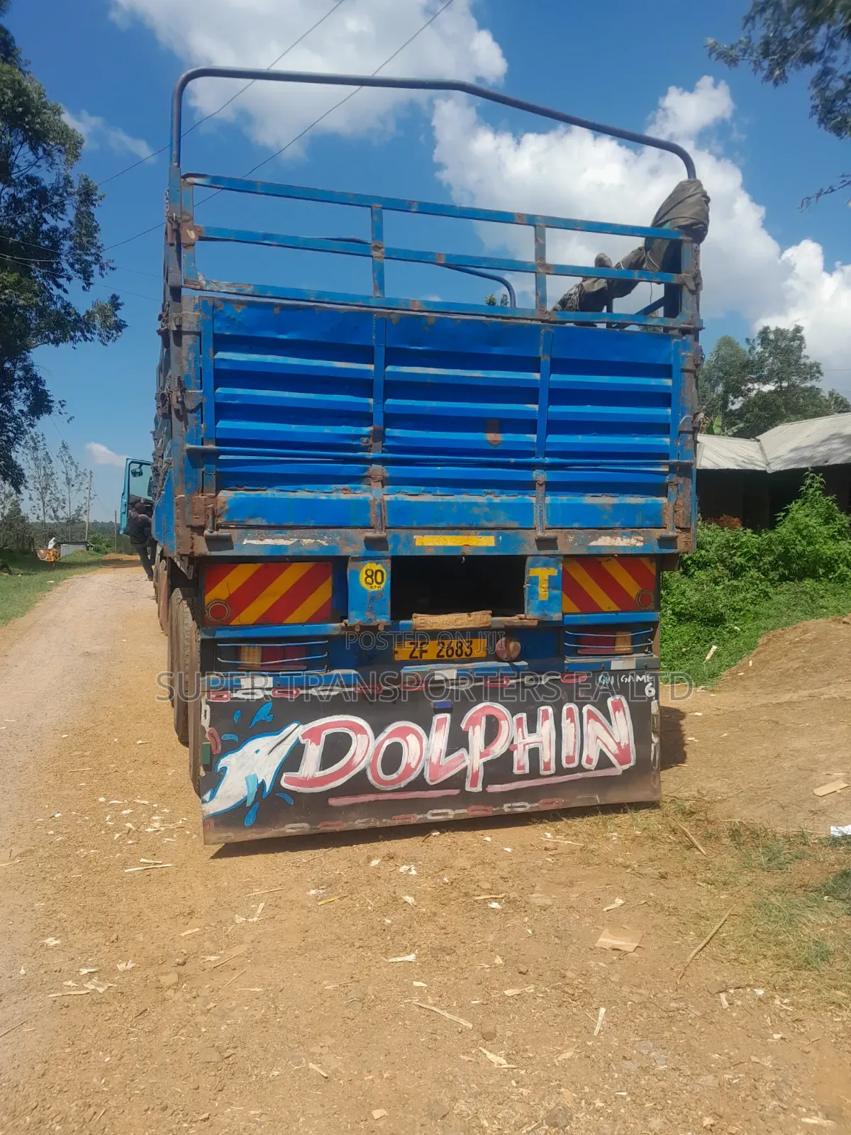 Live Animals transportation.Goats.Cows.Sheep.sawdustfloor.