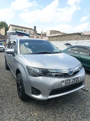 Toyota Corolla Fielder 2013 Silver