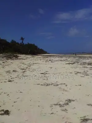 Beach Land for Sale