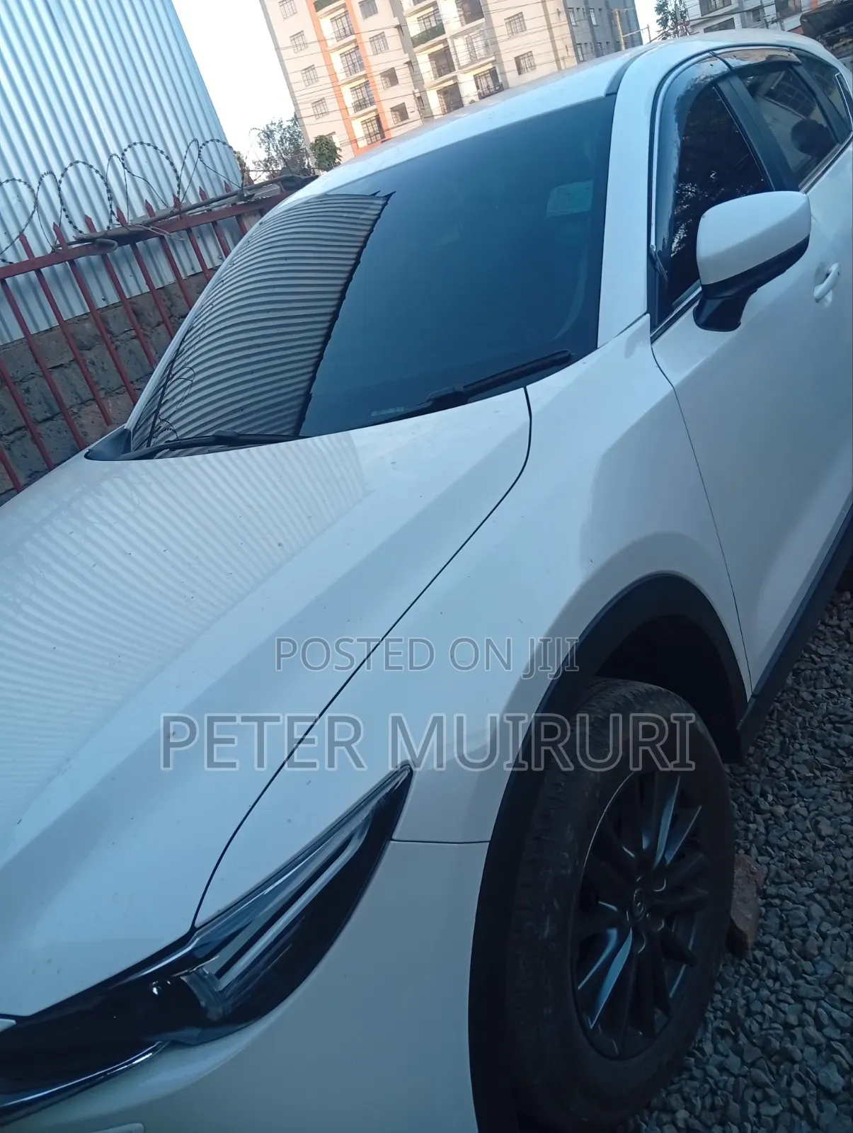 Car Tinting