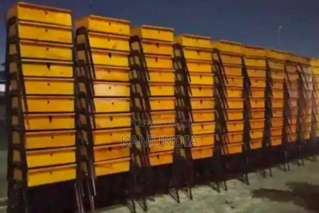 School Lockers