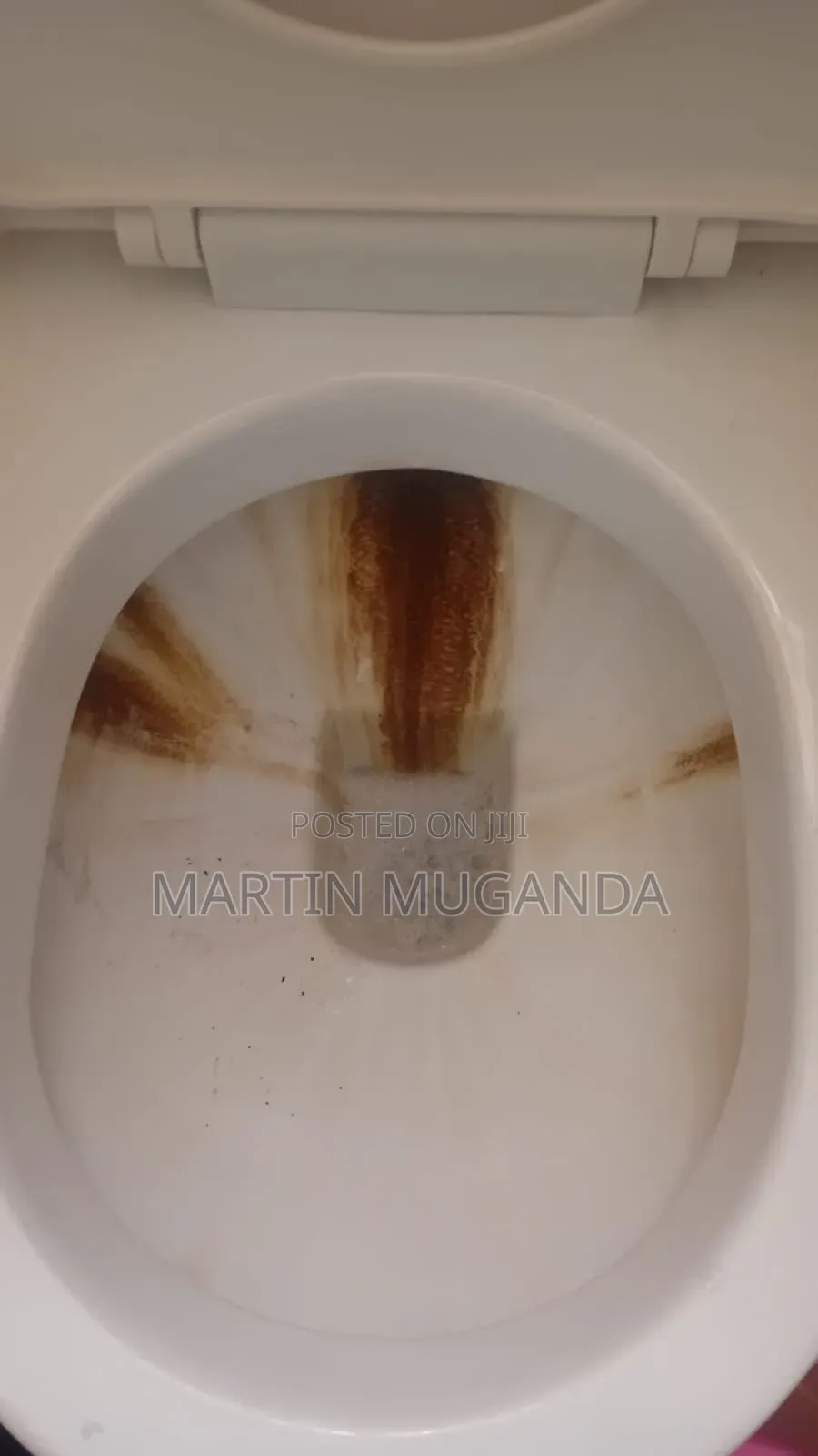 Cleaning and Fumigation Service