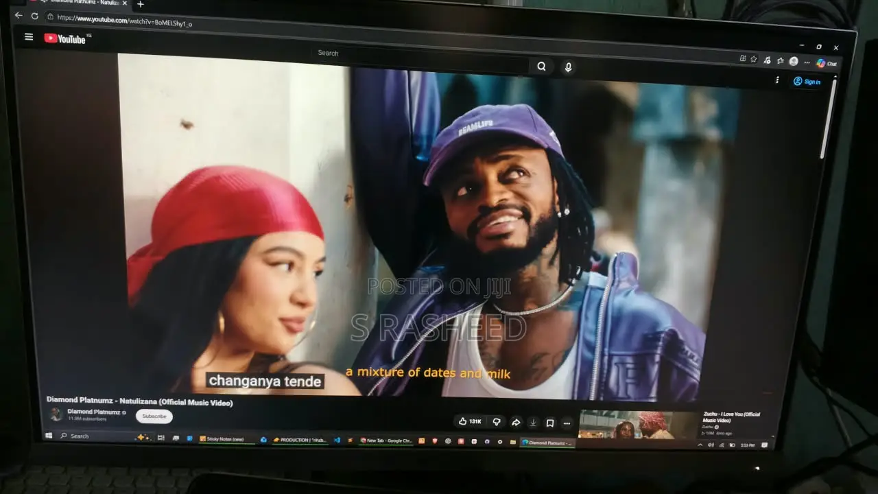 HP Monitor