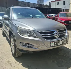 Volkswagen Tiguan SE 4Motion 2010 Silver