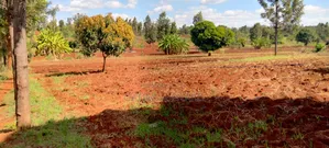 One Acre of Agricultural Land for Lease – Kimbimbi, Kirinyaga County!