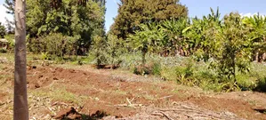 1⁄8 Acre Plot for Sale in Nyangati, Kirinyaga!