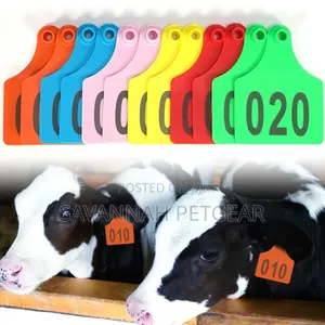Cattle Identification Tag Orange, Red, Green, Blue, Yellow, Pink-100pc