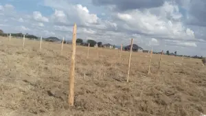 Real Estate