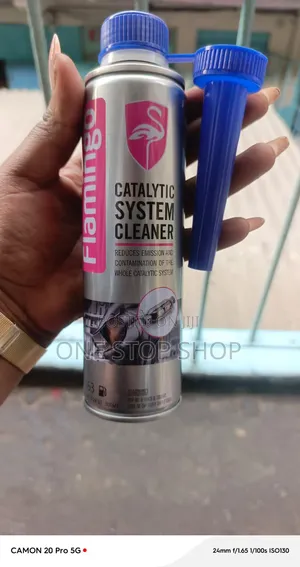 300ml Catalytic System Cleaner Reduces Harmful Exhaust Emissions