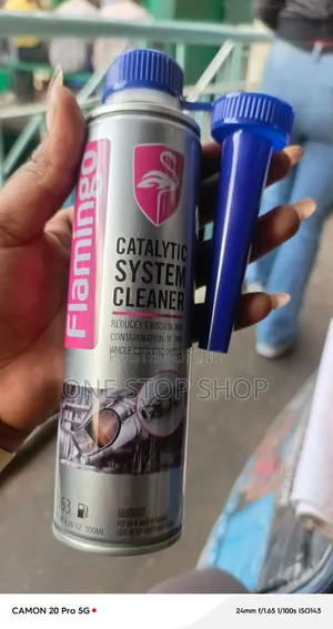 Catalytic System Cleaner Restores Performance Car Catalytic Converter