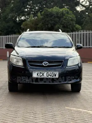 Toyota Corolla Fielder 2009 Black