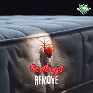 Bedbugs Removal Services