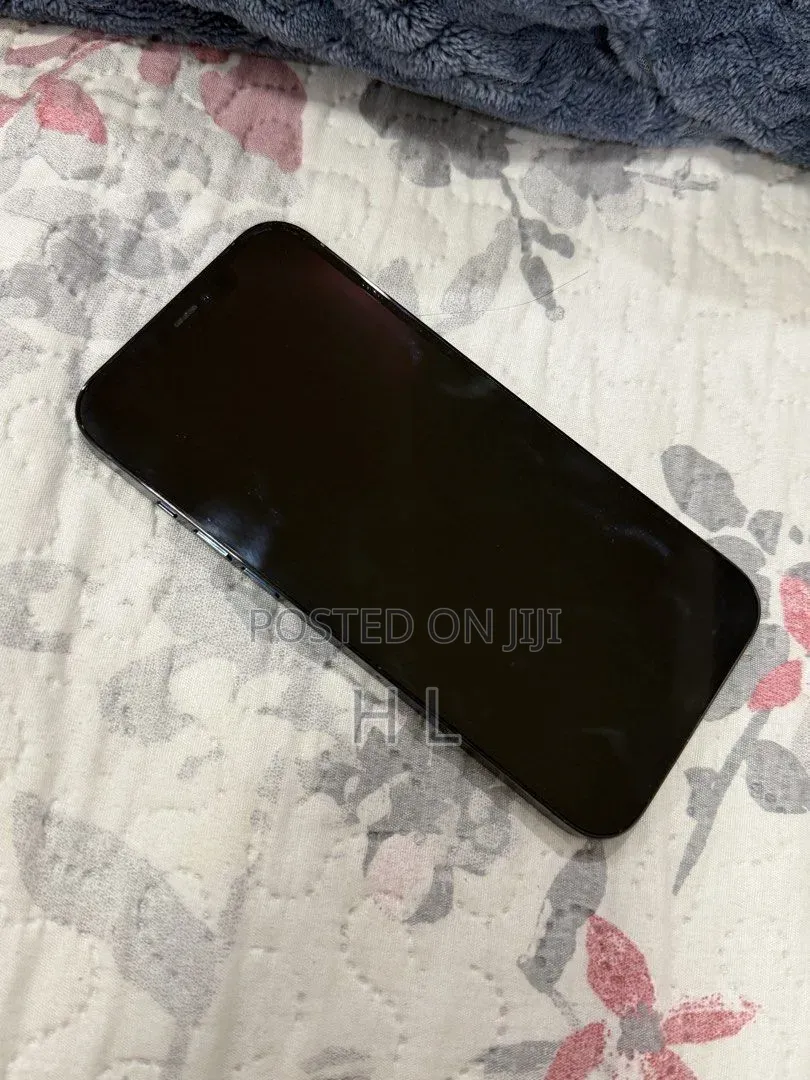 Apple iPhone 12 Pro Max 512 GB Blue
