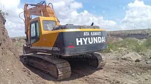 Excavator Hyundai