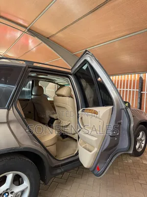 BMW X5 3.0i Activity Automatic 2007 Gray