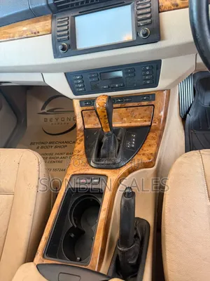 BMW X5 3.0i Activity Automatic 2007 Gray